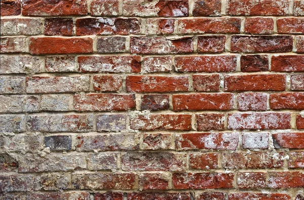 Background-aging brickwork on lime solution. — Stock Photo, Image