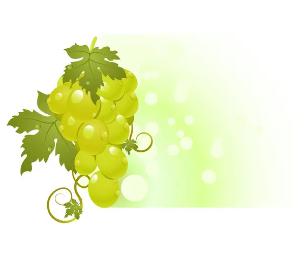 Виноград фону — стоковий вектор