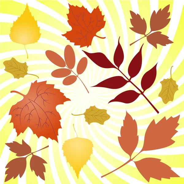 stock vector Autumn leaves