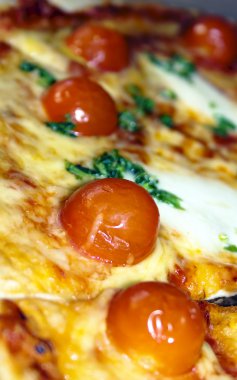 büyük pizza Mozzarella peyniri ile