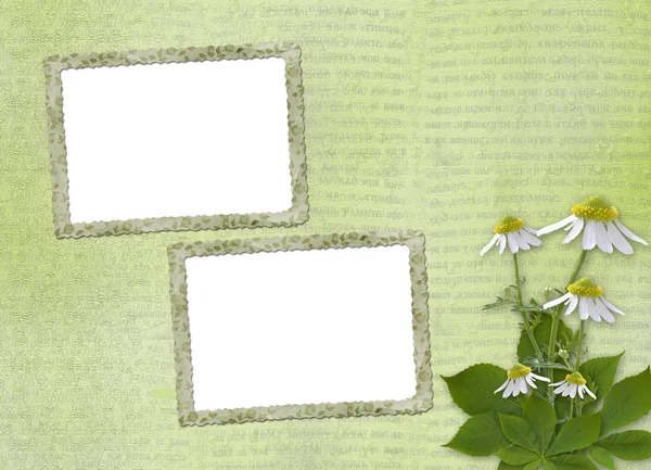 Papierrahmen mit Blumenstrauß — Stockfoto