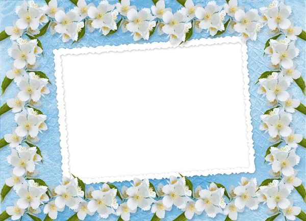 Blauwe achtergrond met tak van sakura — Stockfoto