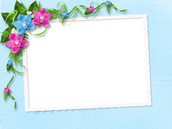 Frame met blauwe en roze orchideeën — Stockfoto