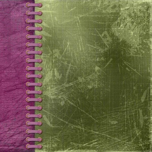 アルバムのクロイチゴ アンティーク カバー — ストック写真