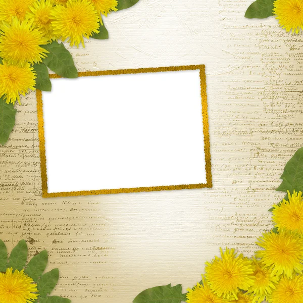 Background with bunch of dandelions — Stock Photo, Image