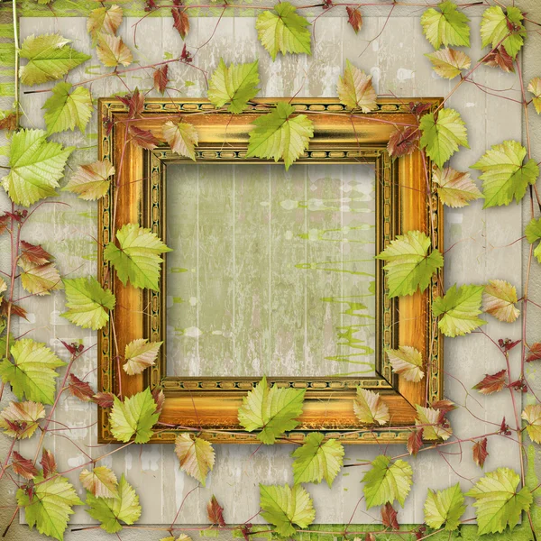 木制框架以葡萄树的一个分支 — 图库照片
