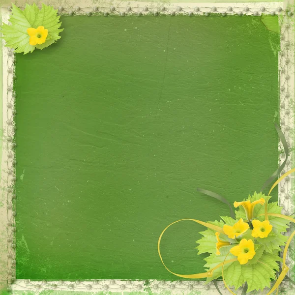 Papel grunge com flores abóboras e fitas — Fotografia de Stock
