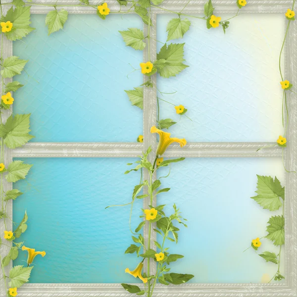 Grunge-Papierrahmen mit Blumen-Kürbissen — Stockfoto