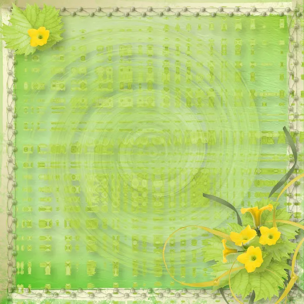 Papier grunge avec des fleurs citrouilles et rubans pour le design — Photo