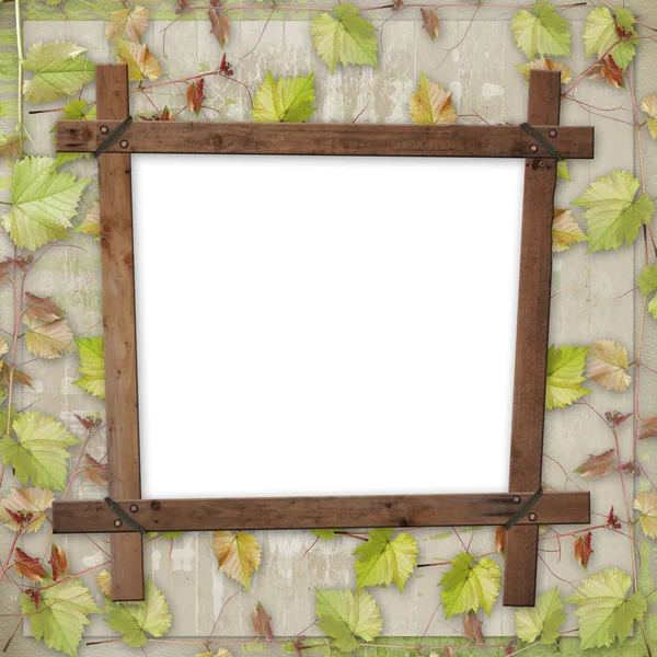 Wooden frame with a branch of the vine — Stock Photo, Image