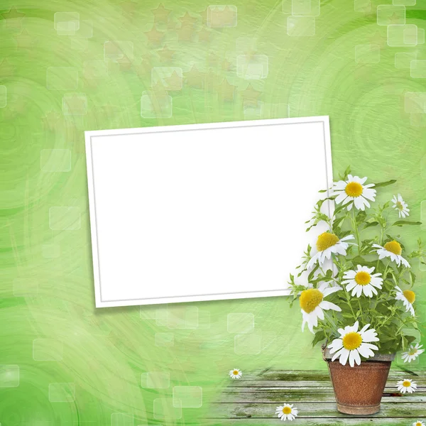 Grunge frame met mooie bos van daisy voor ontwerp — Stockfoto
