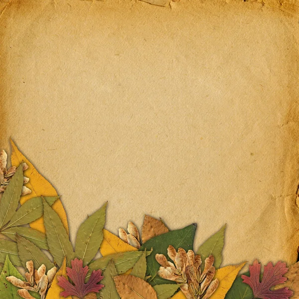 Antiguo marco grunge en el fondo abstracto con hojas de otoño —  Fotos de Stock