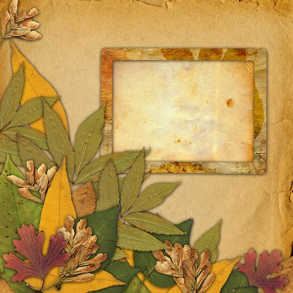 Vecchio telaio grunge sullo sfondo astratto con foglie autunnali — Foto Stock