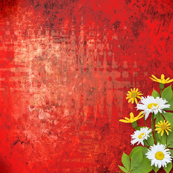 A cracked rusty metal wall with beautiful bunch of daisy for des — Stock Photo, Image