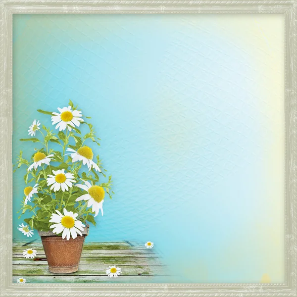 Grunge papier met mooie bos van daisy voor ontwerp — Stockfoto