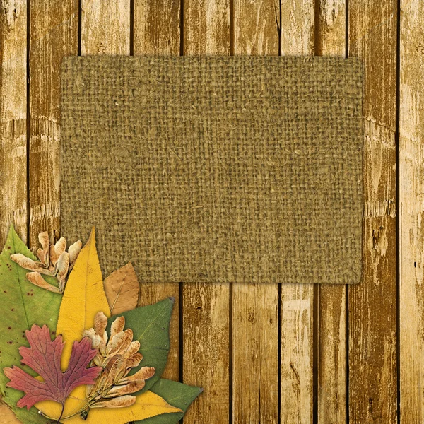 Starý grunge rámeček na pozadí abstraktní s podzimní listí — Stock fotografie