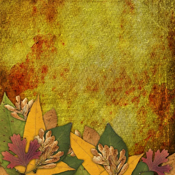 Старая гранж рамка на абстрактном фоне с осенними листьями — стоковое фото