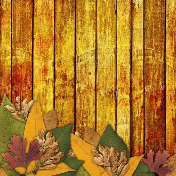 秋と抽象的な背景に古いグランジ フレームの葉します。 — ストック写真