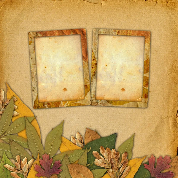 Antiguo marco grunge en el fondo abstracto con hojas de otoño —  Fotos de Stock