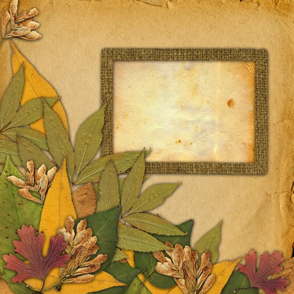 Old grunge frame on the abstract background with autumn leaves — Stock Photo, Image