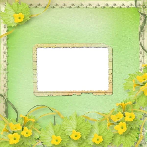 Grunge papírové rámečky s květy dýně a stuhy — Stock fotografie