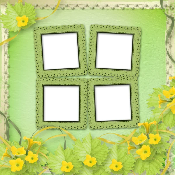 Grunge papírové rámečky s květy dýně a stuhy — Stock fotografie