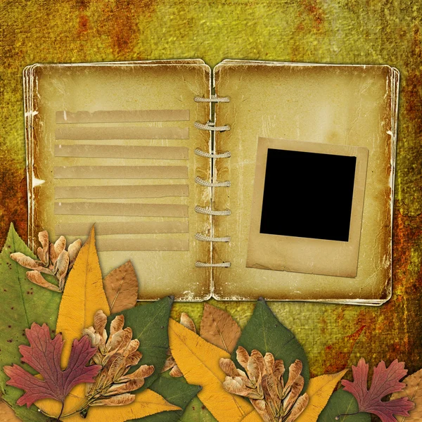 Gamla grunge ram på den abstrakt bakgrunden med hösten lämnar — Stockfoto