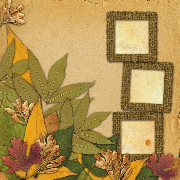 Alter Grunge-Rahmen auf abstraktem Hintergrund mit Herbstblättern — Stockfoto