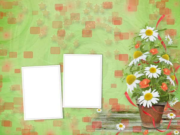 Grunge πλαίσια με όμορφη μάτσο daisy και παπαρούνας για σχεδιασμό — Φωτογραφία Αρχείου