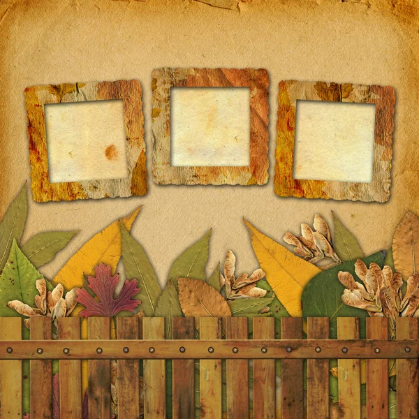 老 grunge 架与秋天的抽象背景上叶 — 图库照片