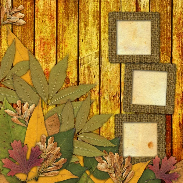 Стара гранжева рамка на абстрактному фоні з осіннім листям — стокове фото