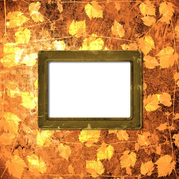 Grunge frame on the ancient vegetable background — Stock Photo, Image