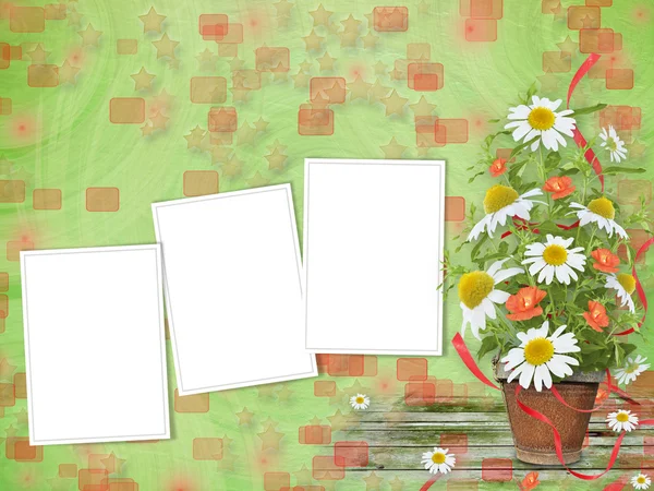 Grunge frames with beautiful bunch of daisy and poppy for design — Stock Photo, Image