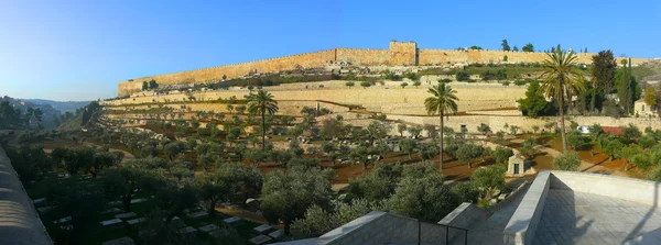 Gouden poort muur van Jeruzalem — Gratis stockfoto