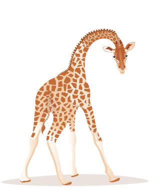 Giraffe clipart