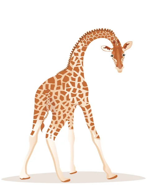 stock vector Giraffe