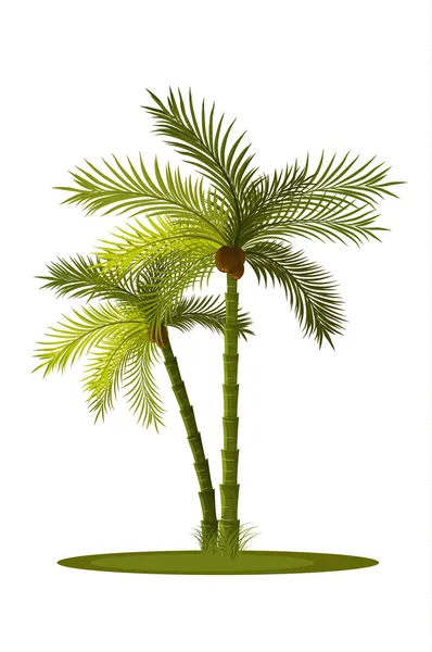 Dos palmeras — Vector de stock