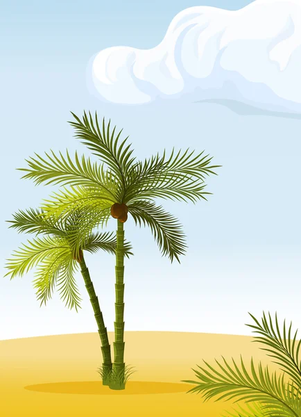 两棵棕榈树 — 图库矢量图片