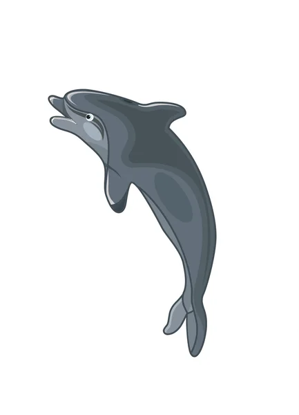 跳跃的海豚 — 图库矢量图片