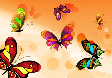 Vector butterfly clipart