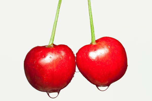 Wet Cherries — Stock Photo, Image