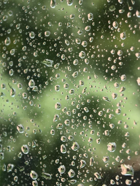 Краплі дощу — стокове фото