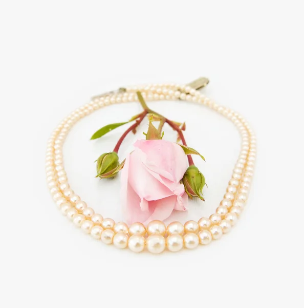 Εκλεκτής ποιότητας μαργαριτάρια με ροζ τριαντάφυλλο — Φωτογραφία Αρχείου