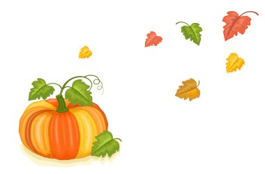 Autumn harvest with tasty pumpkin clipart