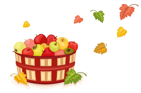 Podzimní sklizeň s jablky v košíku — Stockový vektor