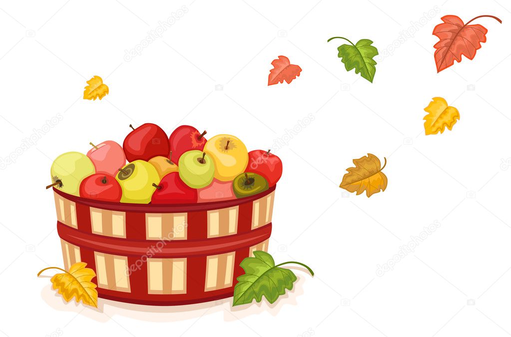 Autumn harvest with apples in basket