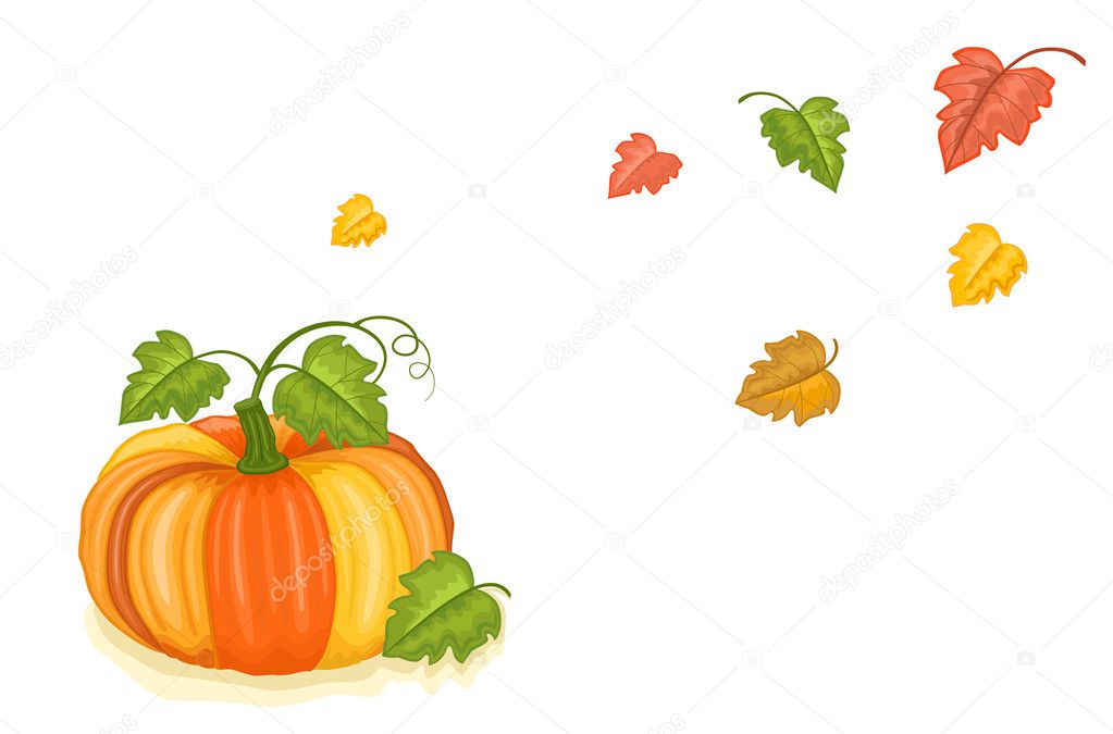 Autumn harvest with tasty pumpkin