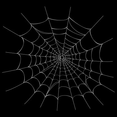 Vector Spider web on black clipart