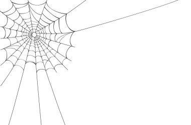 Vector Spider web on white clipart