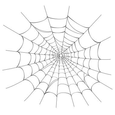 Vector Spider web on white clipart